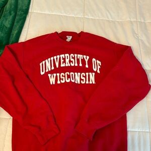 oversized wisconsin crewneck